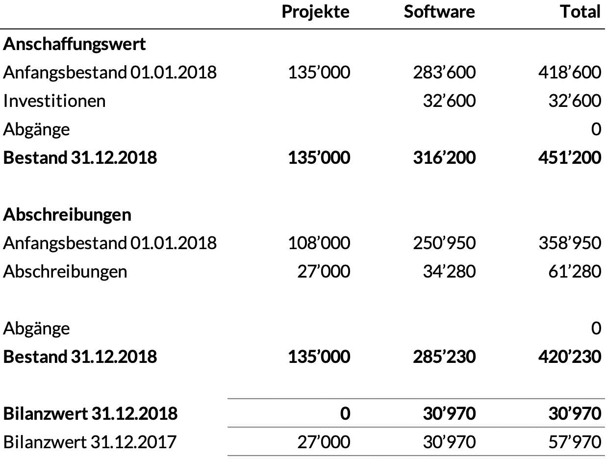 Anlagenspiegel immaterielle Anlagen 2018