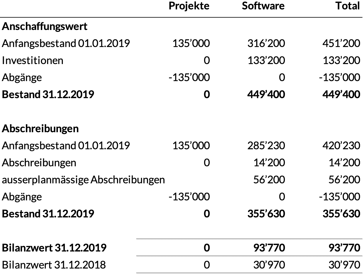 Anlagenspiegel immaterielle Anlagen 2019